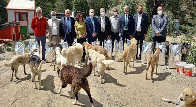 CHP, Sokak Hayvanlarının Sorunlarını Gündeme Getirdi