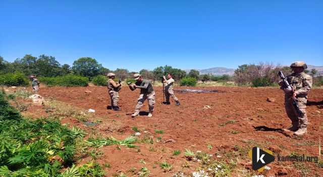 Diyarbakır'da Dev Uyuşturucu Operasyonu