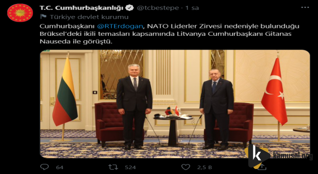 Erdoğan Litvanya Cumhurbaşkanı ile görüştü