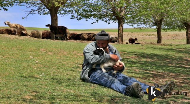 ESKİ HÜKÜMLÜ DEVLET DESTEĞİYLE BESİCİ OLDU