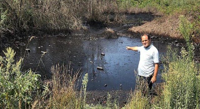 Sakarya’da çevre katliamı