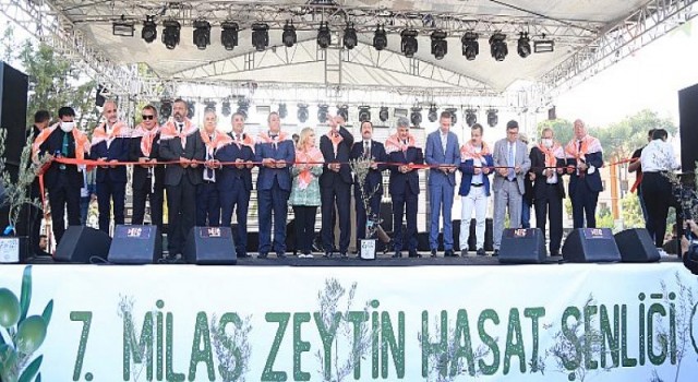 7. Milas Zeytin Hasat Şenliği Coşkuyla Geçti