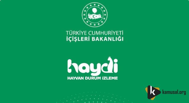 HAYDİ Uygulaması Sayesinde 27 Bin 758 İhbara Anında Müdahale Edildi