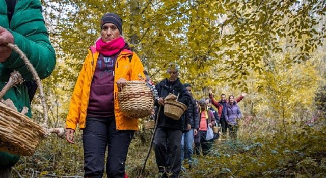 Kocaeli’nin ilk mantar avı Ormanya’da yapıldı