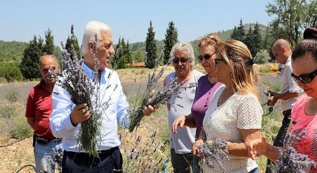 Kadın Üreticilere 97 Bin 500 Adet Tıbbi Aromatik Fidanı Dağıtıldı