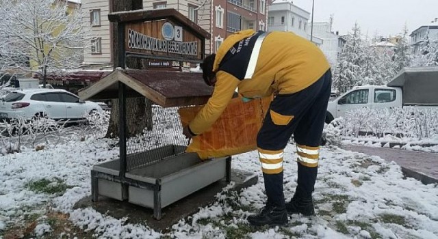 Sahipsiz Hayvanlara Düzenli Olarak Yiyecek Bırakılıyor