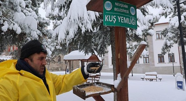 Kuşlar İçin Parklardaki Besleme Odaklarına Buğday Bırakıldı