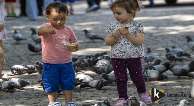 Sosyal Ve Ekonomik Destek Miktarı 1259 TL’den 1611 TL’ye Yükseldi