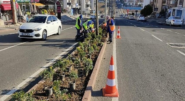 Park ve bahçeler ekipleri ağaçlandırma ve peyzaj çalışmalarını sürdürüyor