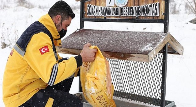 Nevşehir Belediyesi Can Dostları da Unutmadı