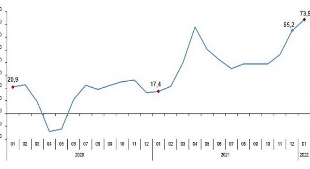 Perakende Satış Endeksleri, Ocak 2022