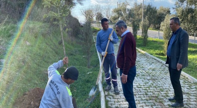 Beydağ’da Parklar Ağaçlandırılıyor