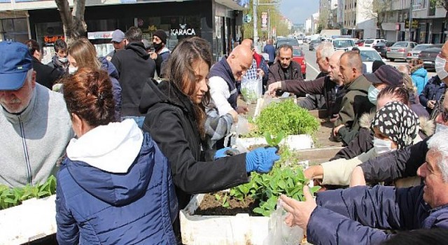 Saray Belediyesi’nden Ücretsiz Halk Fide