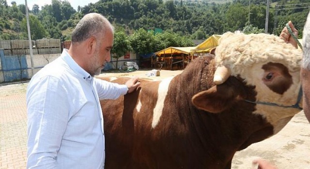 Canik Belediye Başkanı İbrahim Sandıkçı, Canik Hayvan Pazarı’nı ziyaret etti