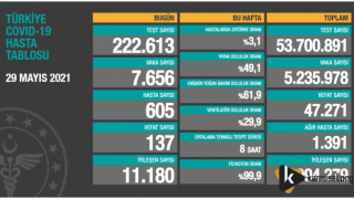 29 Mayıs 2021 Covid-19 Tablosu