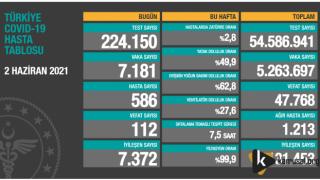 2 Haziran Covid-19 Tablosu Açıklandı