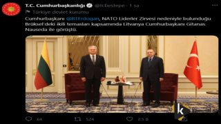 Erdoğan Litvanya Cumhurbaşkanı ile görüştü