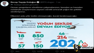 Erdoğan'dan Yangın Açıklaması