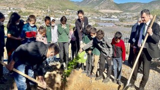 Akkuyu Nükleer A.Ş. Temsilcileri, Milli Ağaçlandırma Günü Kapsamında Ağaç Dikti