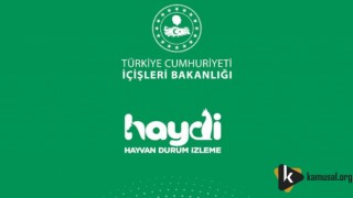 HAYDİ Uygulaması Sayesinde 27 Bin 758 İhbara Anında Müdahale Edildi