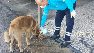 Can Dostlarımız Unutulmuyor