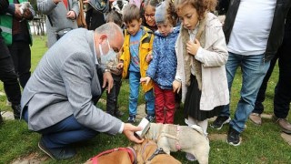 Canik’te çocuklar sokak hayvanları için ‘Çevre Dostu’ kulübeler hazırlıyor