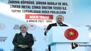 Cumhurbaşkanı Erdoğan, Siirt’te Yapımı Tamamlanan Projelerin Toplu Açılış Töreninde Konuştu