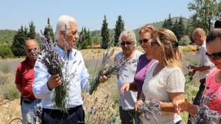 Kadın Üreticilere 97 Bin 500 Adet Tıbbi Aromatik Fidanı Dağıtıldı