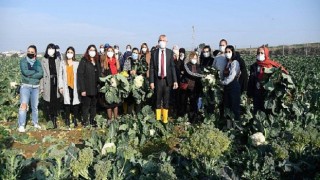 Kadınlar üretiyor, kazanıyor, güçleniyor…