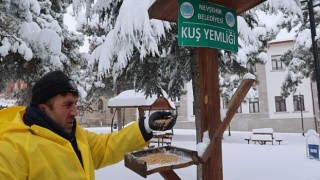 Kuşlar İçin Parklardaki Besleme Odaklarına Buğday Bırakıldı