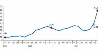 Yurt Dışı Üretici Fiyat Endeksi, Aralık 2021