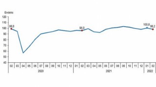 Ekonomik Güven Endeksi, Şubat 2022