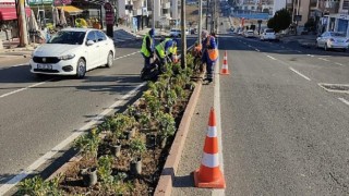 Park ve bahçeler ekipleri ağaçlandırma ve peyzaj çalışmalarını sürdürüyor