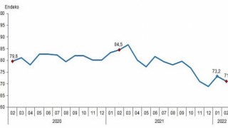 Tüketici Güven Endeksi, Şubat 2022
