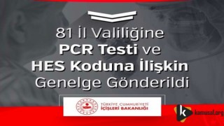 81 İl Valiliğine PCR Testi ve HES Koduna İlişkin Genelge Gönderildi