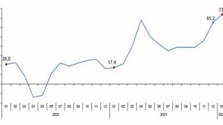 Perakende Satış Endeksleri, Ocak 2022