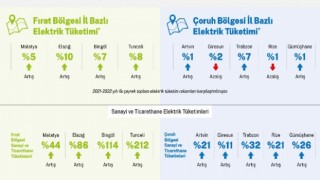 Aksa Elektrik, 2022 yılının ilk çeyreğindeki elektrik tüketim oranlarını açıkladı