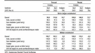 İhracat birim değer endeksi 10,7 arttı