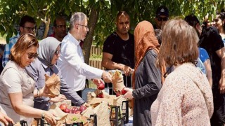 Üsküdar’da Fideler Toprakla Buluştu, Ortaya Renkli Görüntüler Çıktı