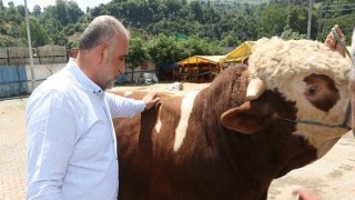 Canik Belediye Başkanı İbrahim Sandıkçı, Canik Hayvan Pazarı’nı ziyaret etti