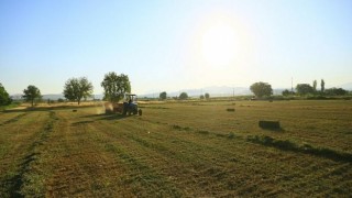 Muğla Büyükşehirden Üreticiye Ücretsiz Hayvan Yemi